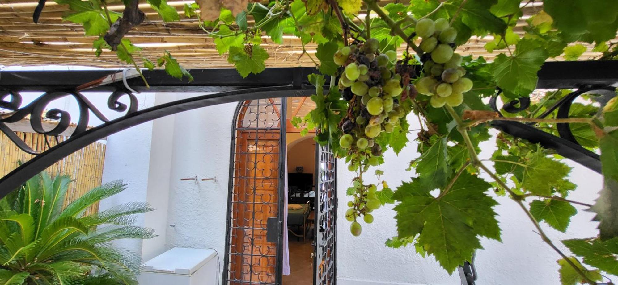 Quietness Bed & Breakfast Vico Equense Exterior photo